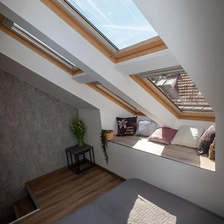 Palms By Bookbudapest *