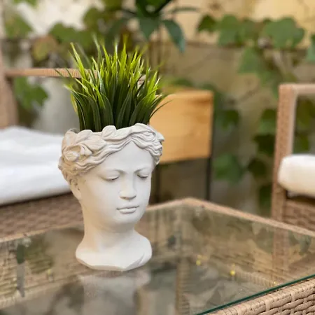 Palms By Bookbudapest *