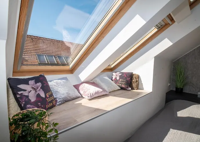 Palms * Будапешт