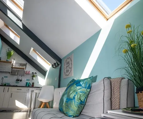 Palms * Будапешт