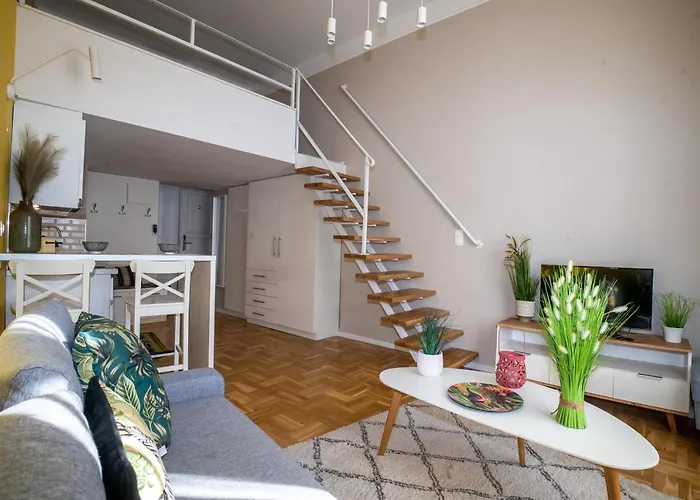 Palms * Будапешт