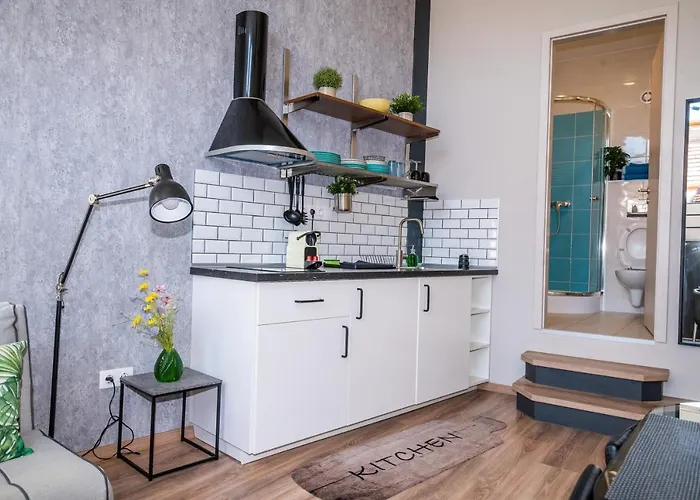 Palms * Будапешт