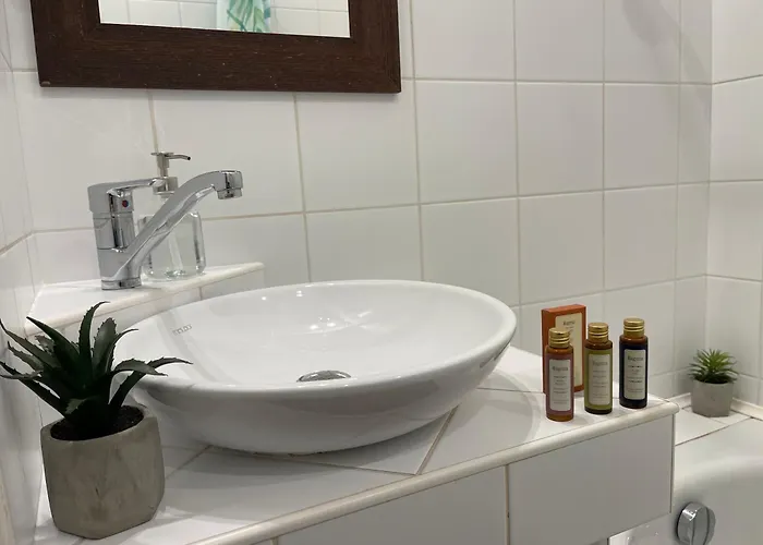 Palms * Будапешт