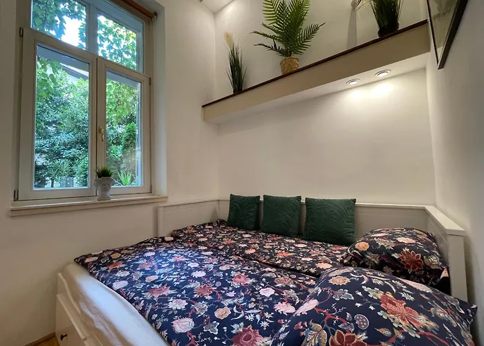 Palms * Будапешт